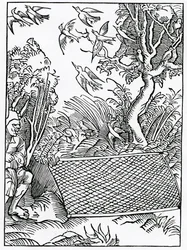 Av över öppna upptagande av råd, illustration från Alexander Barclays engelska översättning av 